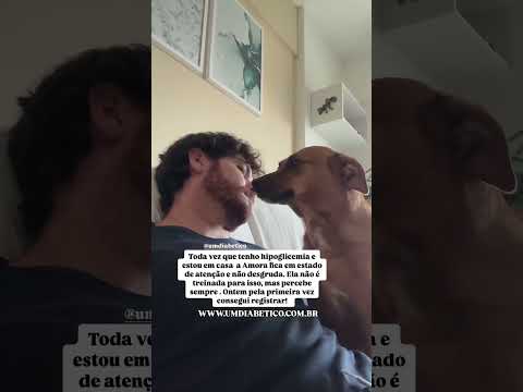 Minha cachorrinha sente quando a glicose cai é preciso de ajuda! #diabetes