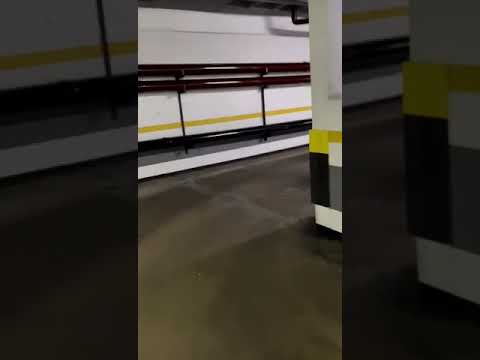 Pacientes se mobilizam e arrecadam centenas de insulinas em SP para vítimas das enchentes no RS