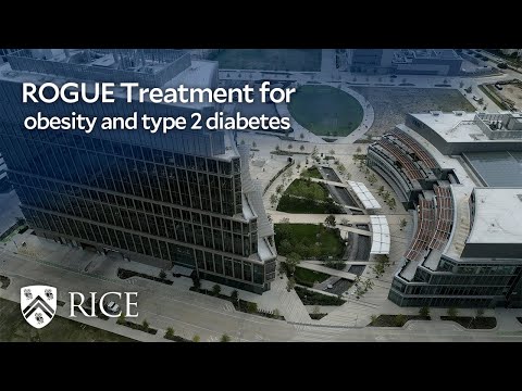 Rice Biotech Launchpad leads commercialization of ROGUE treatment for obesity, type 2 diabetes