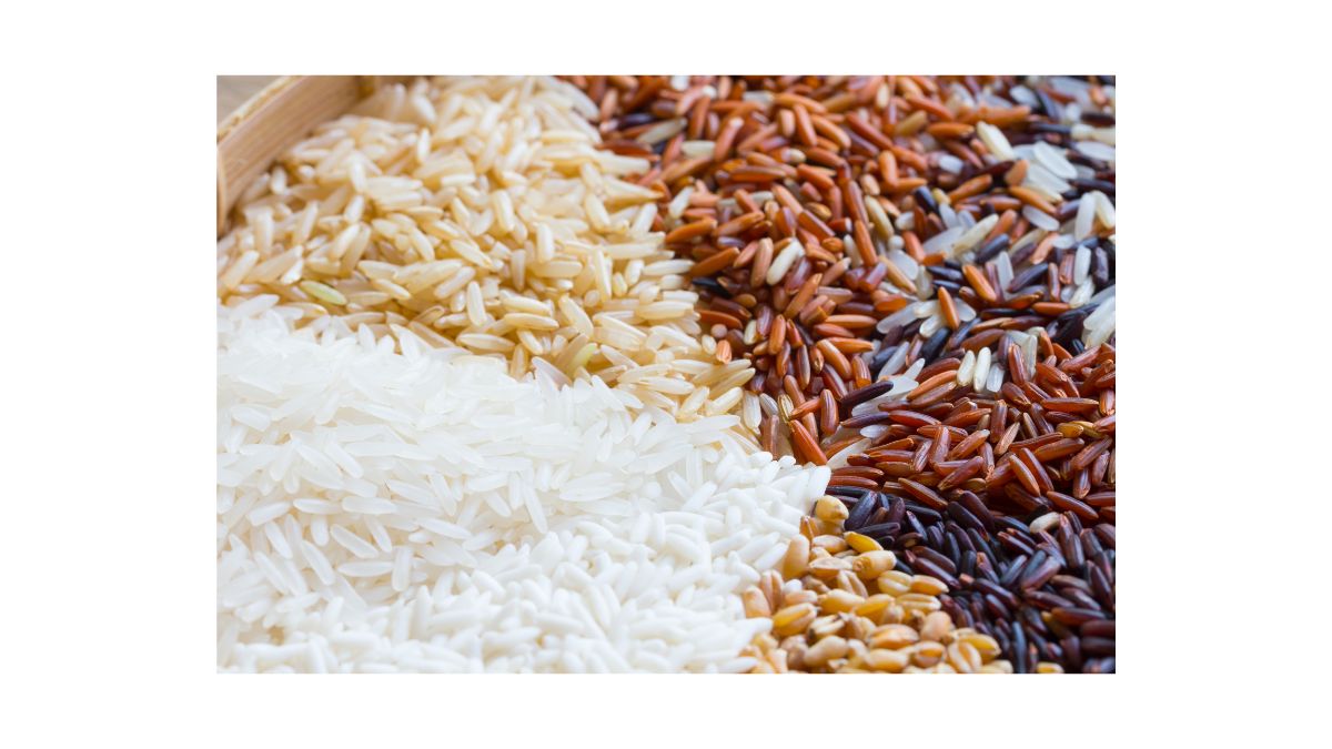 Cientistas desenvolvem variedade de arroz para diabetes