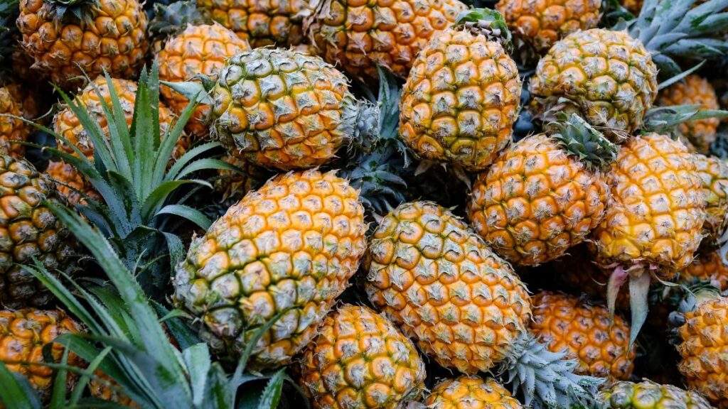 Abacaxi aumenta a glicose? O que quem tem diabetes precisa entender sobre a fruta abacaxi e diabetes